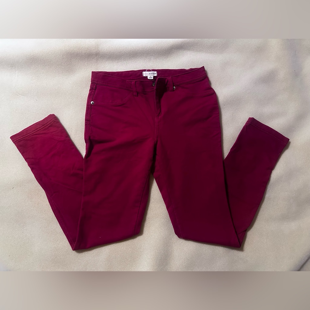 488 Burgundy Skinny Pants